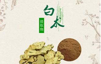白术提取物