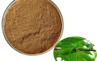 Eucommia extract