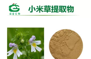小米草提取物