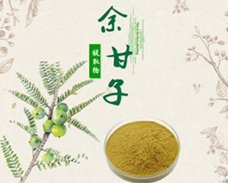 Phyllanthus Extract