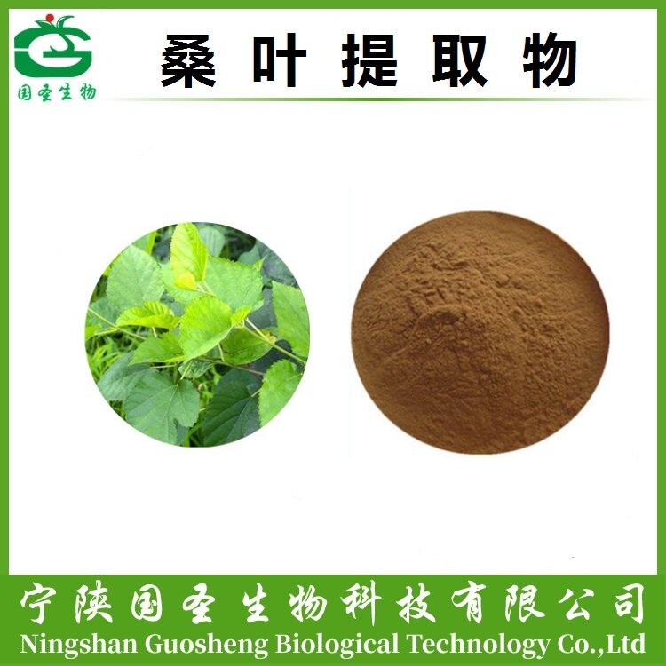 桑叶.jpg